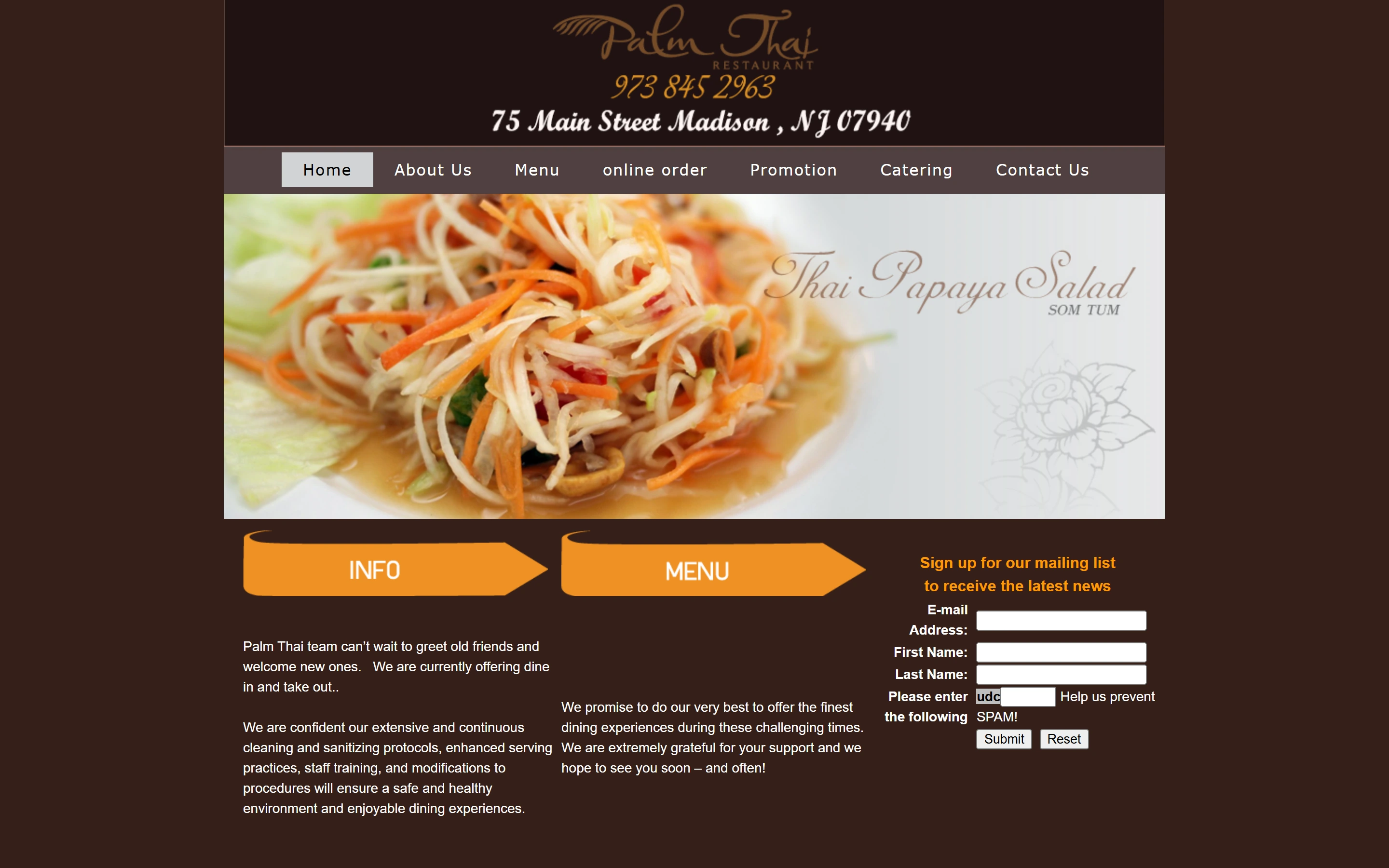 The old home page: dark brown, a grey menu bar, a papaya salad banner and a mailing-list form on the right